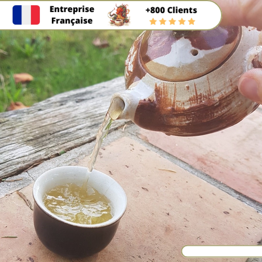 Théière en Terre Originale 170ml – Image 9