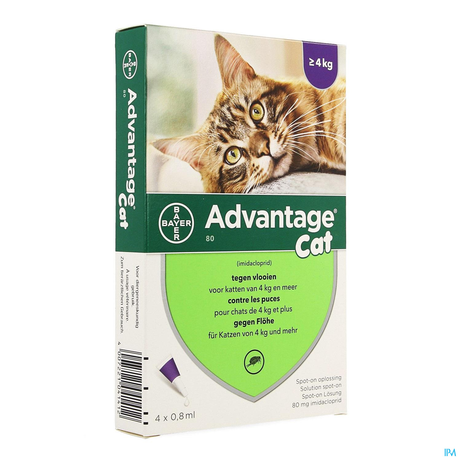 ADVANTAGE 80 CHAT > 4 KG 4*0,8 ML