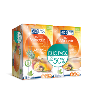 BIOLYS GUARANA THE VERT FR EXOT DUO2X24