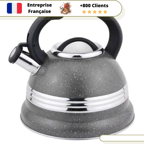 Bouilloire Sifflante Design 2.5L