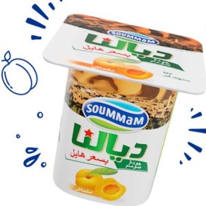 Yaourt Dialna Abricot – Pot 100g eChrily courses