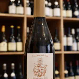 POUILLY FUISSE VIGNES DE LA COTE 2021 JULES DESJOURNEYS