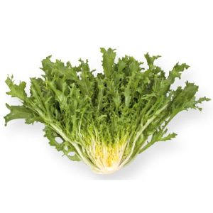 Salade Verte Laitue Frisée- 500 G – Fraîche et Croquante