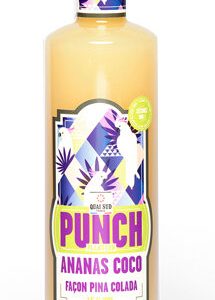 Planteur Ananas-Coco