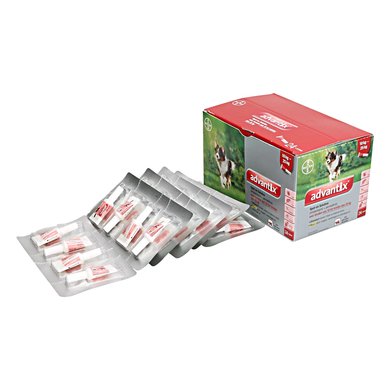 ADVANTIX 250/1250 SPOT ON CHIEN 24*2,5ML – Image 2