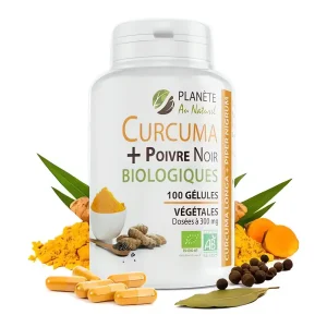 Curcuma et Poivre Noir – 300 mg – 100 gélules – GPH
