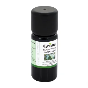 Huile essentielle Eucalyptus radiata – 10 ml – Genna