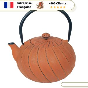 Théière en Fonte Orange Iwachu Kiku 650ml