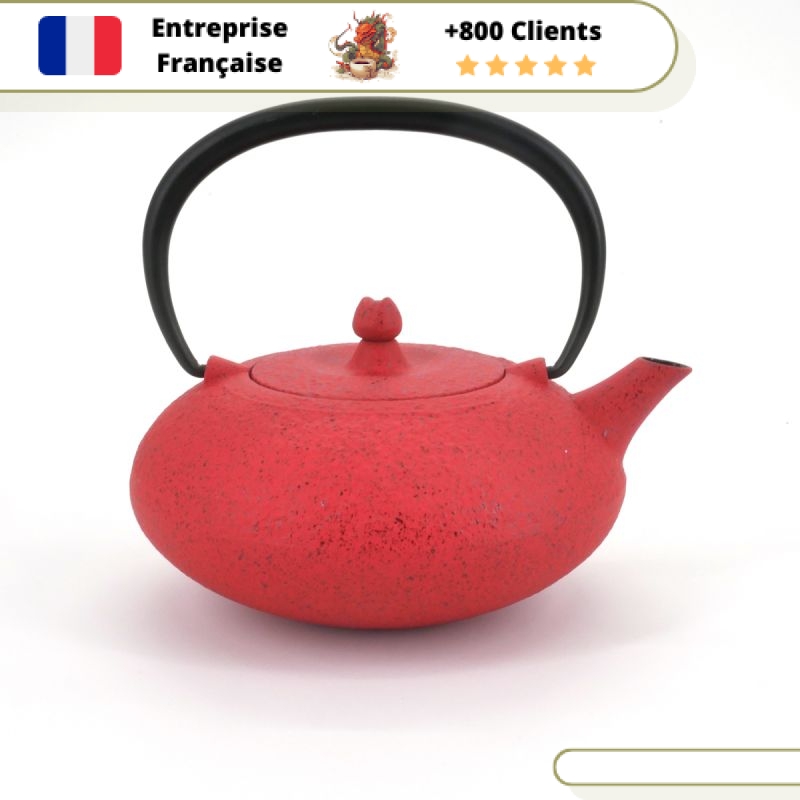 Théière en Fonte Individuelle Wazuqu Shibo 350ml – Image 7