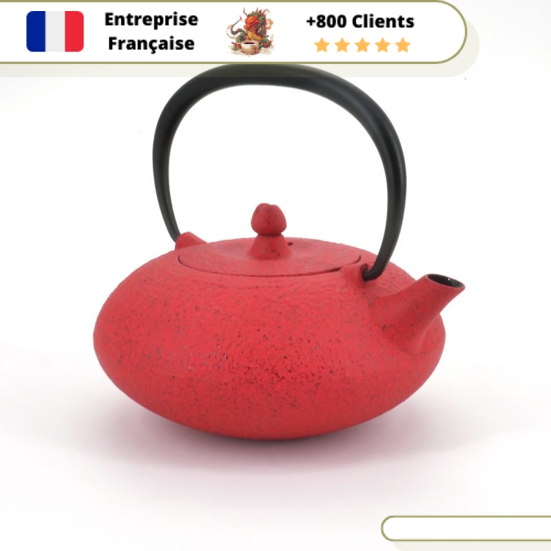 Théière en Fonte Individuelle Wazuqu Shibo 350ml – Image 9