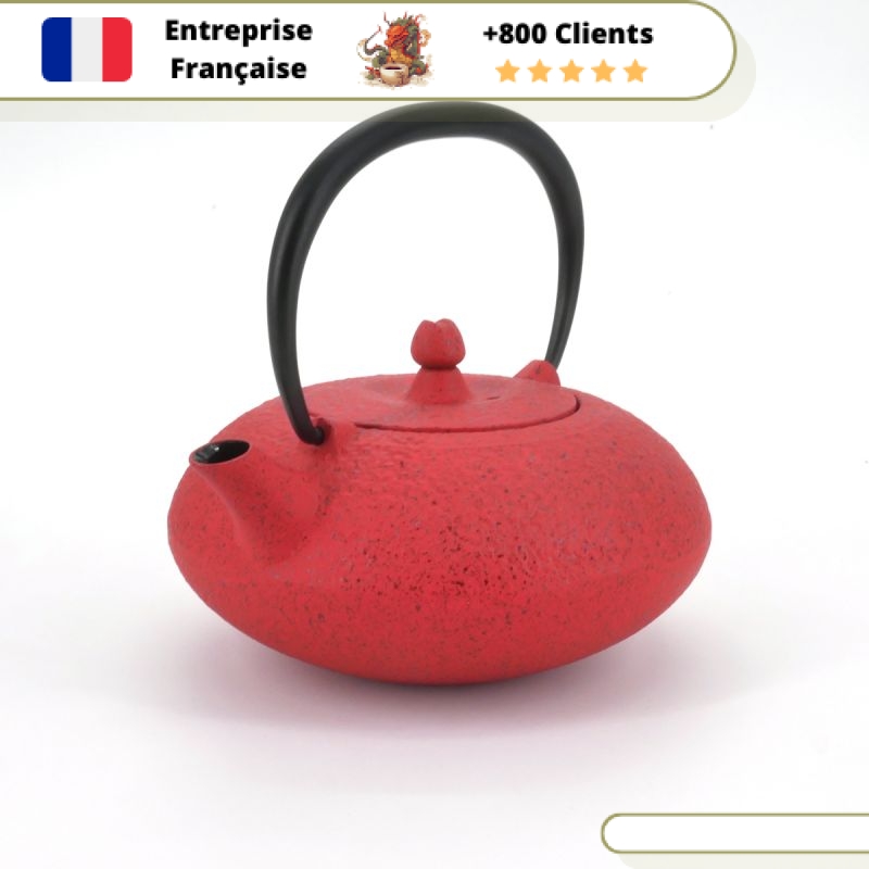 Théière en Fonte Individuelle Wazuqu Shibo 350ml – Image 8