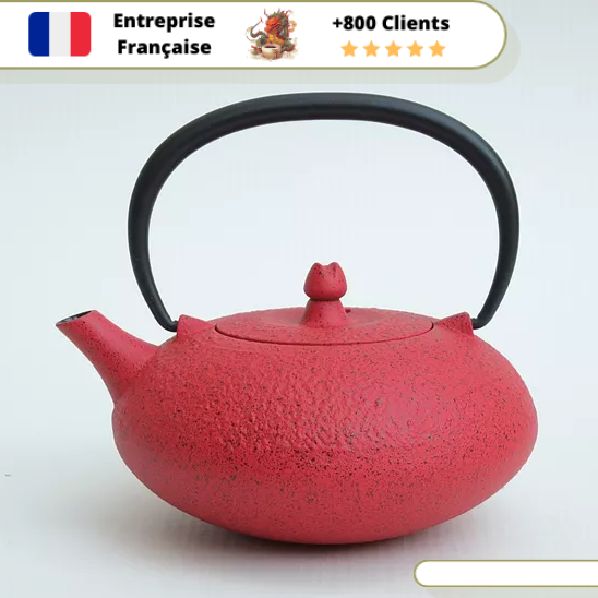 Théière en Fonte Individuelle Wazuqu Shibo 350ml – Image 4