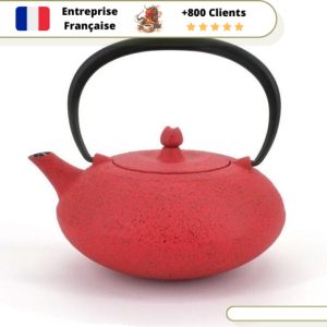 Théière en Fonte Individuelle Wazuqu Shibo 350ml