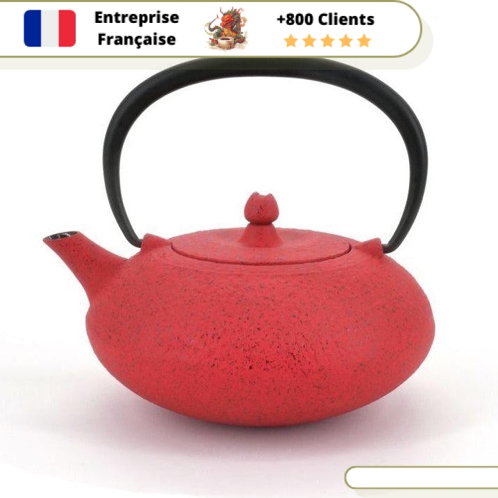 Théière en Fonte Individuelle Wazuqu Shibo 350ml