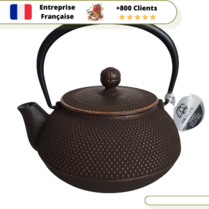 Théière en Fonte Iwachu Arare 600ml