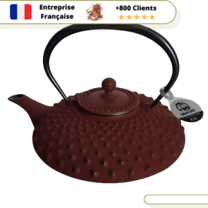 Théière en Fonte Iwachu Kambin 800ml