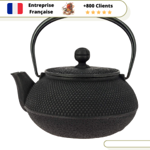 Théière en Fonte Iwachu Arare 600ml
